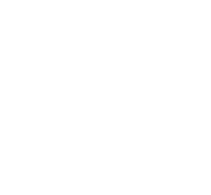 VALENS